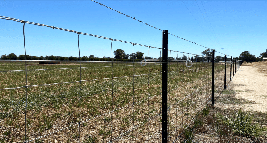 Wire fence in a paddock. Electric fence with a barbed wire on top.